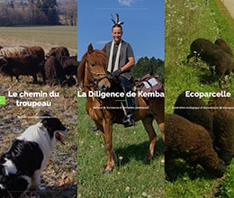 site lesPetitesActions